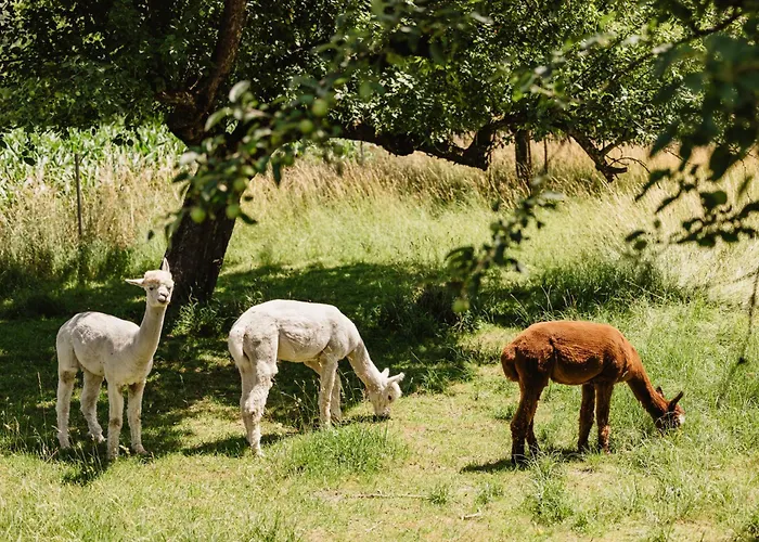 Haus Birgit Appartement
